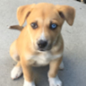 Meet your Posher, Gerardo